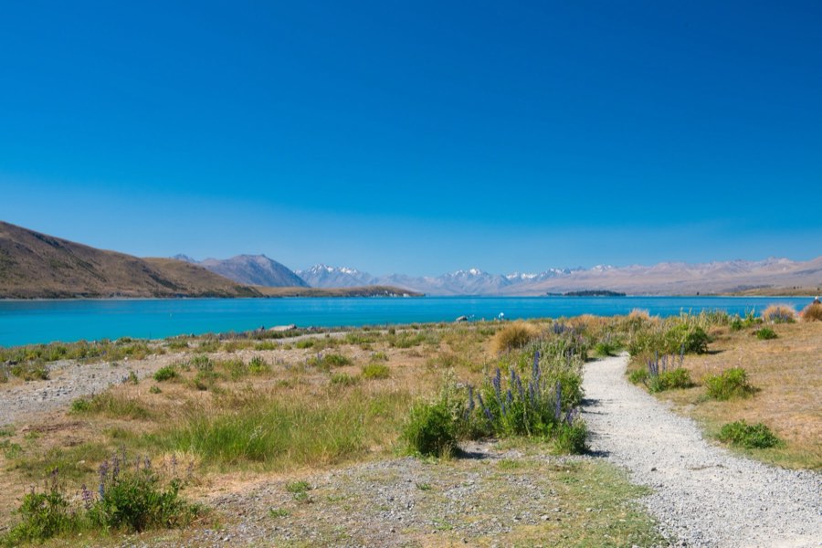 World, Winter 2015, New Zealand. Photograph by Jordy Meow, 21/64