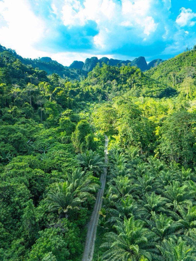 World, Spring 2025, Thailand. Photograph by Jordy Meow, 32/64