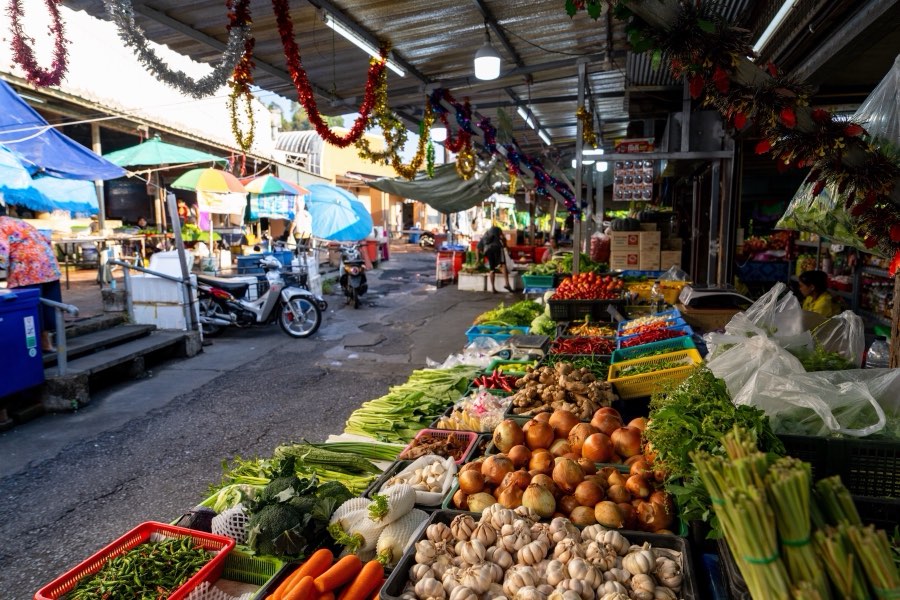 World, Spring 2025, Thailand. Photograph by Jordy Meow, 55/64