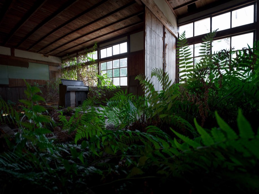 Haikyo, Autumn 2019, Japan. Photograph by Jordy Meow, 4/302