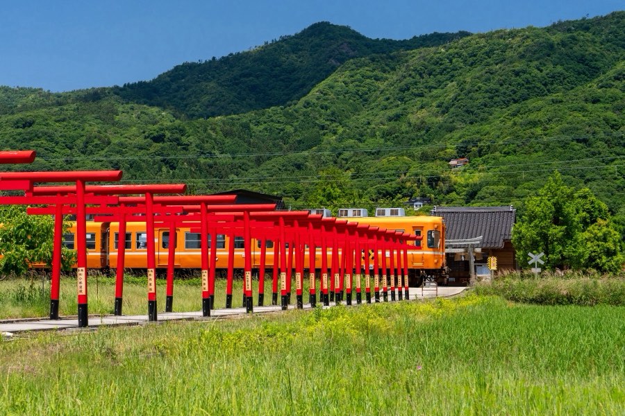 Japan, Spring 2026. Photograph by Jordy Meow