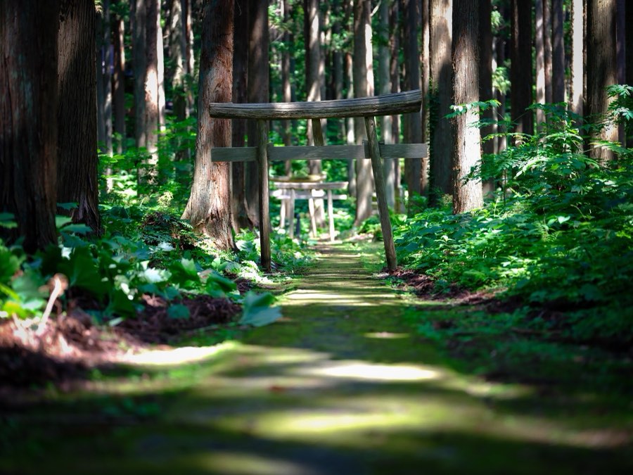 Japan, Summer 2021. Photograph by Jordy Meow, 3/229
