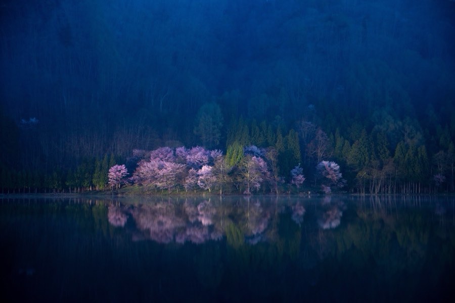 Japan, Spring 2019. Photograph by Jordy Meow, 12/289