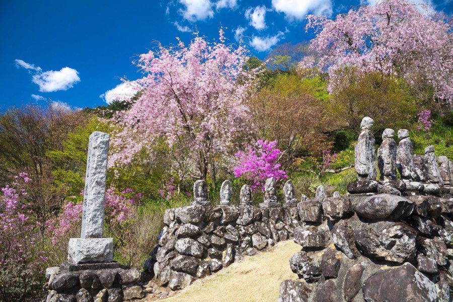 Japan, Spring 2017. Photograph by Jordy Meow, 15/289