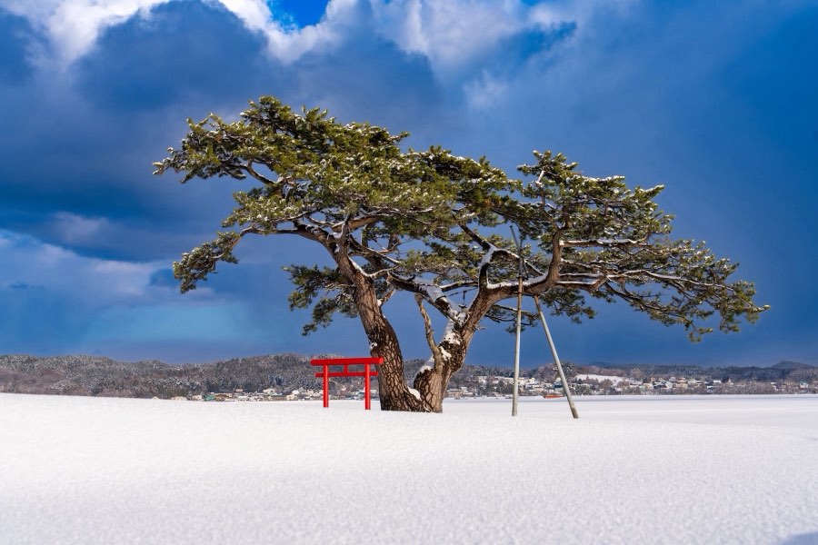 Aomori, Winter 2025, Japan. Photograph by Jordy Meow, 42/116