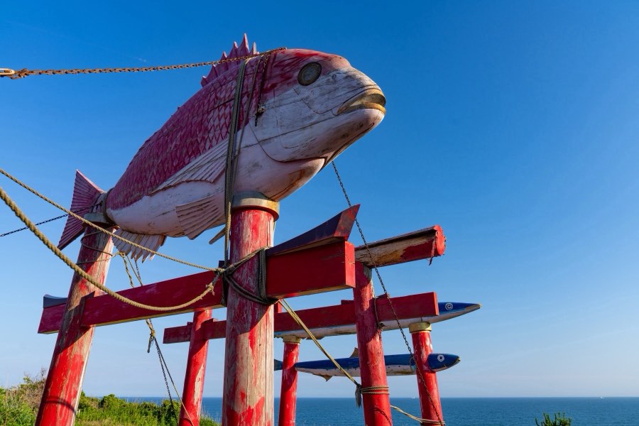 Chiba, Summer 2024, Japan. Photograph by Jordy Meow, 66/229
