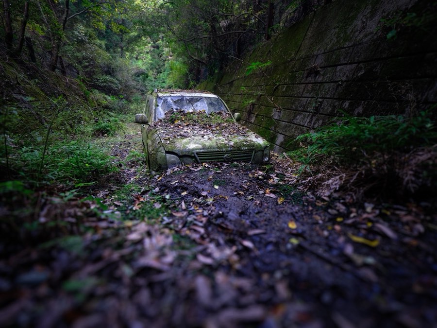 Chiba, Autumn 2022, Japan. Photograph by Jordy Meow, 104/302