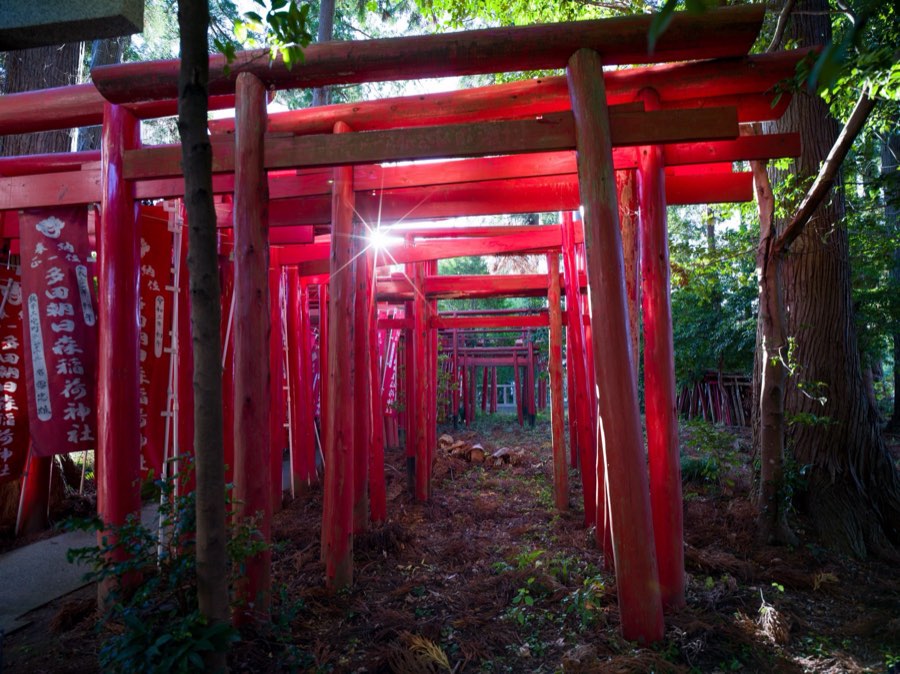 Chiba, Autumn 2020, Japan. Photograph by Jordy Meow, 108/302