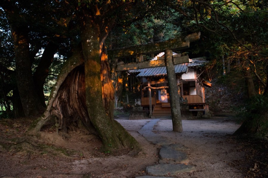 Ehime, Summer 2016, Japan. Photograph by Jordy Meow, 173/229