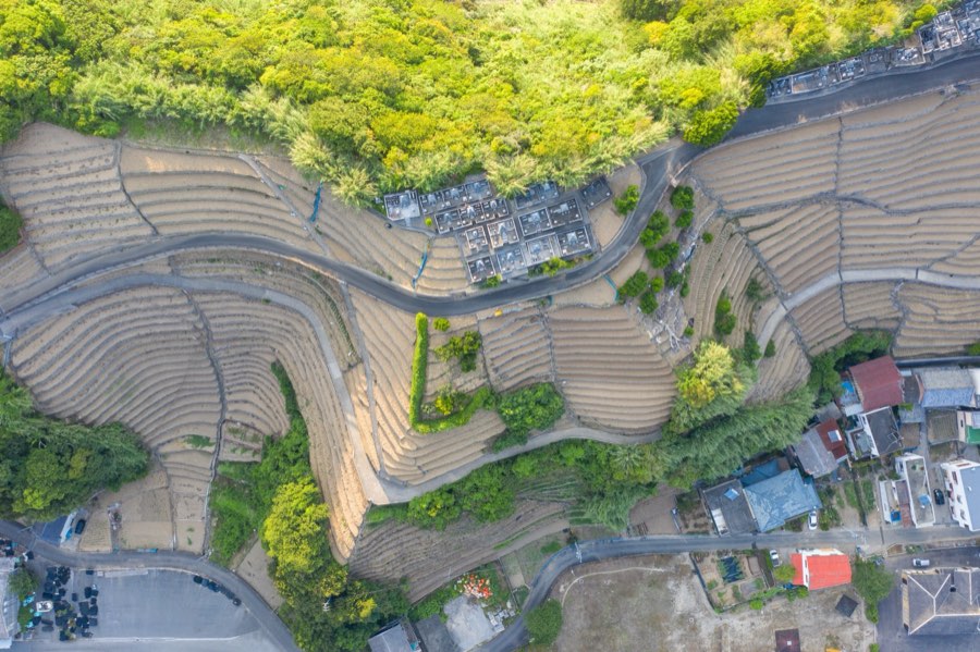 Ehime, Summer 2020, Japan. Photograph by Jordy Meow, 180/229