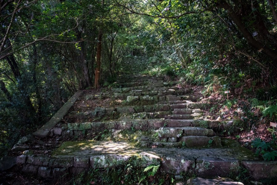 Ehime, Summer 2016, Japan. Photograph by Jordy Meow, 184/229