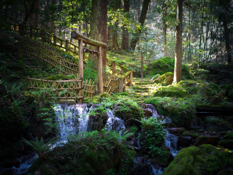 Fukui, Spring 2020, Japan. Photograph by Jordy Meow, 7/13