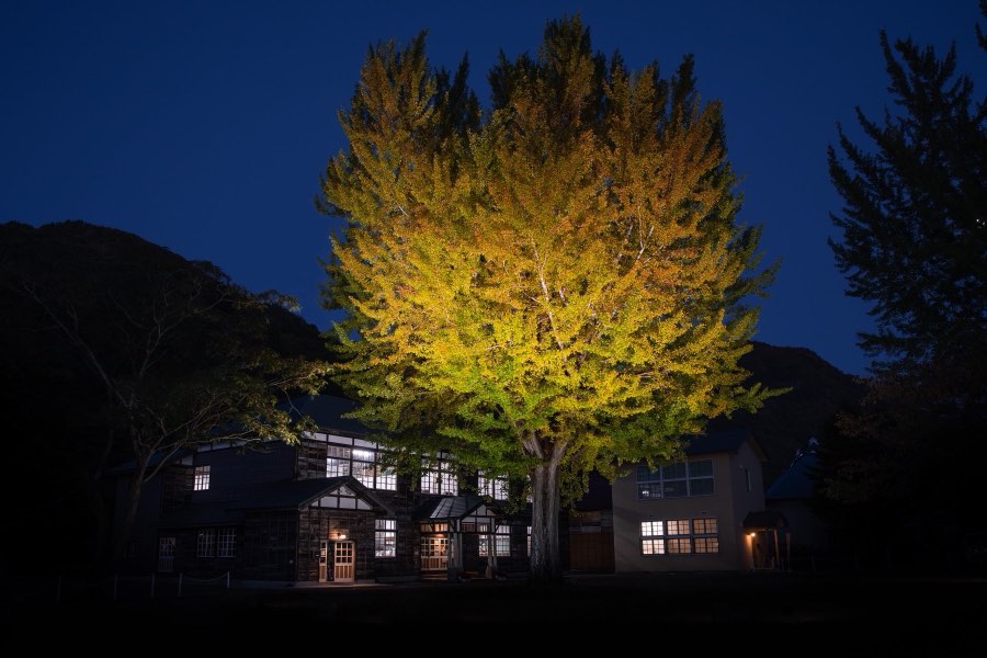 Fukushima, Autumn 2018, Japan. Photograph by Jordy Meow, 6/17