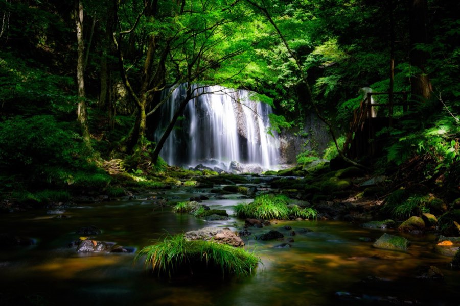 Fukushima, Summer 2014, Japan. Photograph by Jordy Meow, 8/17
