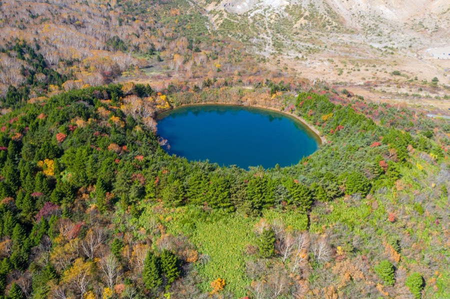 Fukushima, Autumn 2020, Japan. Photograph by Jordy Meow, 11/17