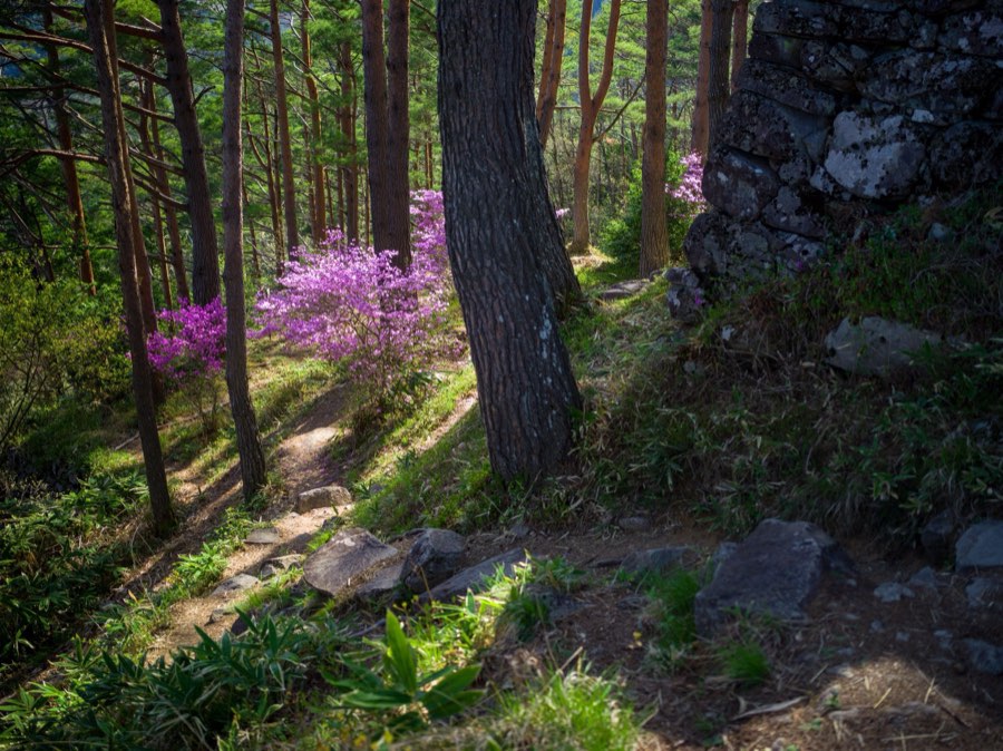 Gifu, Spring 2020, Japan. Photograph by Jordy Meow, 17/25