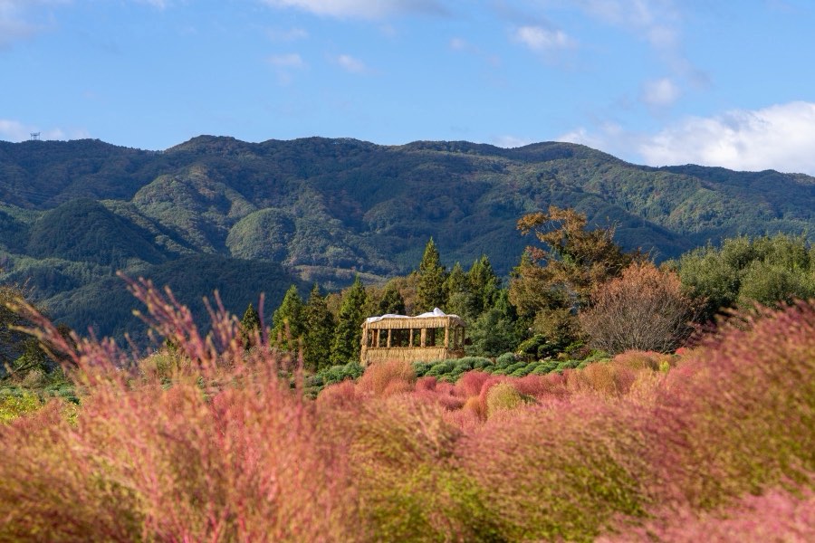 Gunma, Autumn 2023, Japan. Photograph by Jordy Meow, 85/302
