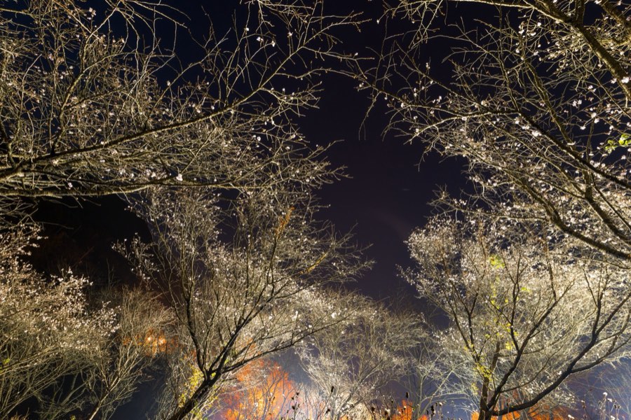 Gunma, Autumn 2013, Japan. Photograph by Jordy Meow, 86/302