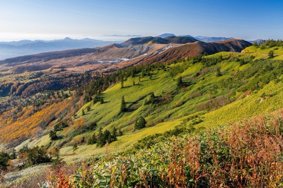 Gunma, Autumn 2023, Japan. Photograph by Jordy Meow, 90/302