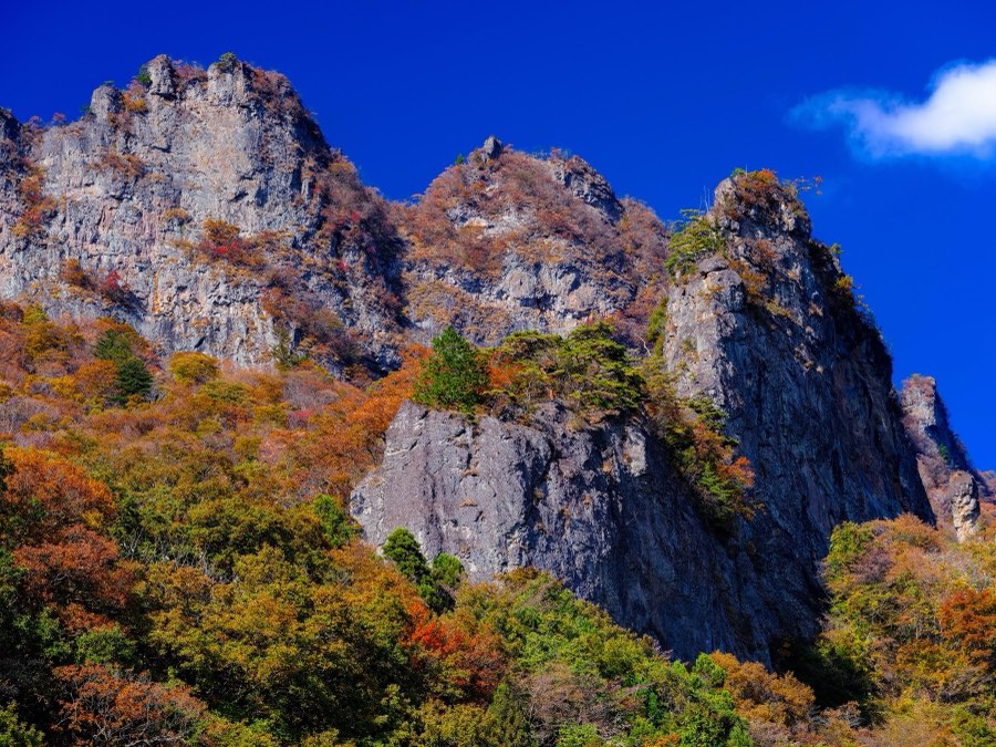 Gunma, Autumn 2021, Japan. Photograph by Jordy Meow, 94/302