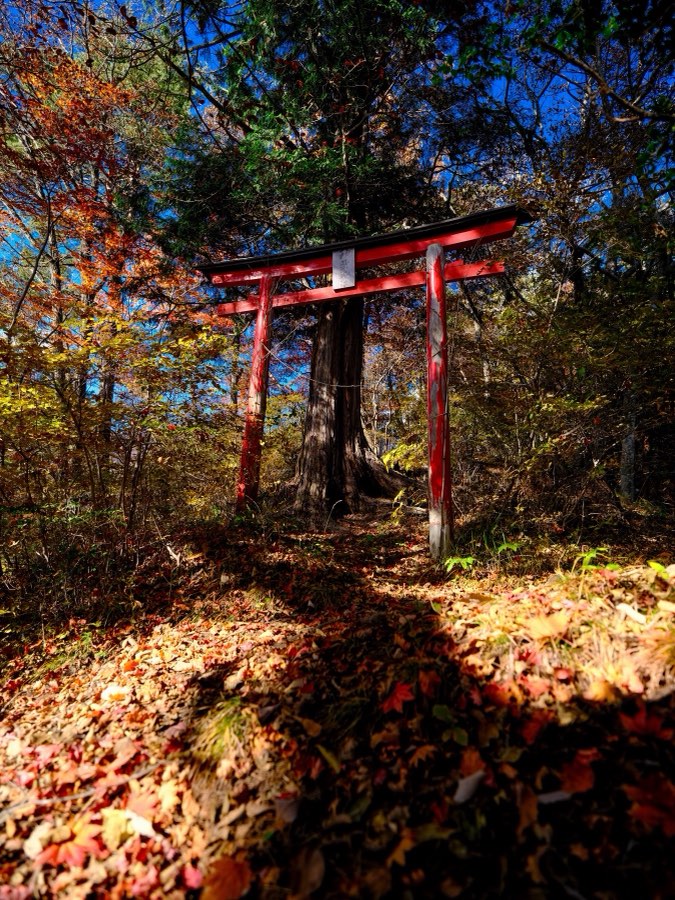 Gunma, Autumn 2021, Japan. Photograph by Jordy Meow, 95/302