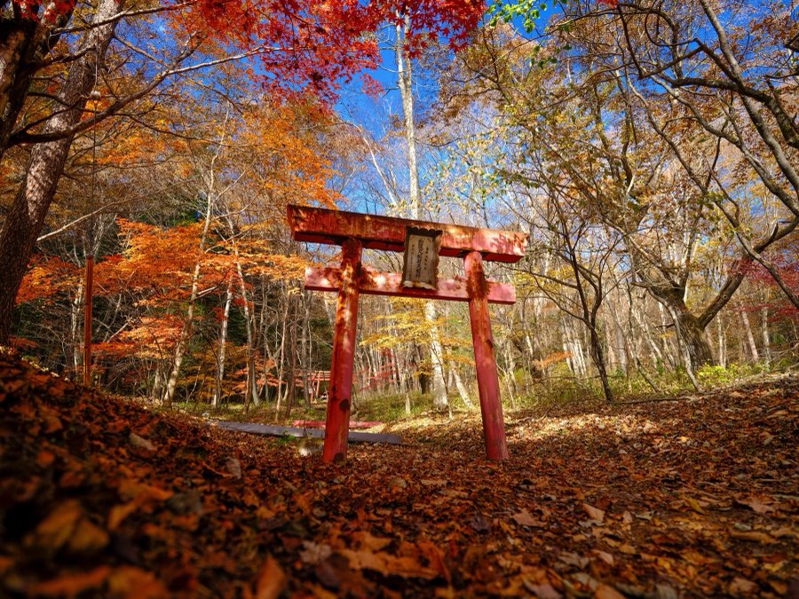 Gunma, Autumn 2021, Japan. Photograph by Jordy Meow, 96/302