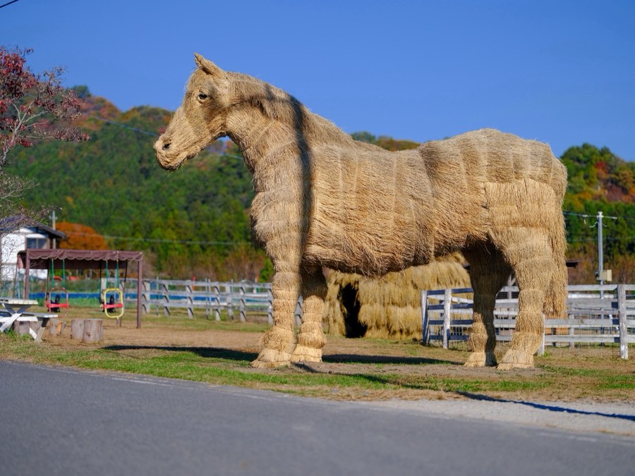 Gunma, Autumn 2021, Japan. Photograph by Jordy Meow, 99/302