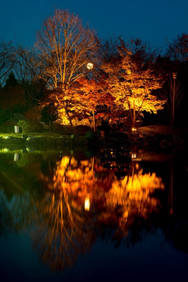 Gunma, Autumn 2013, Japan. Photograph by Jordy Meow, 100/302