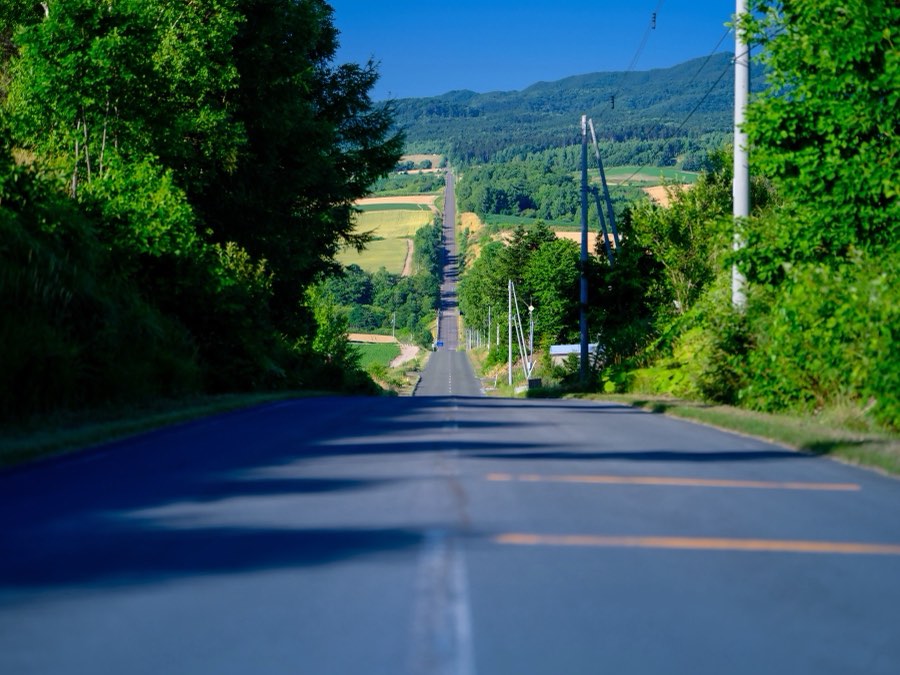 Hokkaido, Summer 2021, Japan. Photograph by Jordy Meow, 1/24