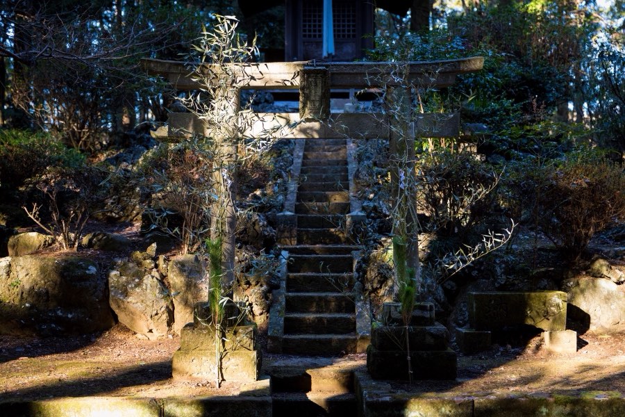 Ibaraki, Winter 2018, Japan. Photograph by Jordy Meow, 1/9