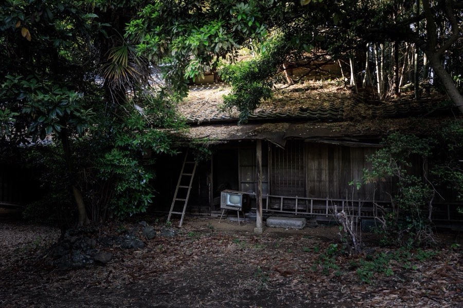 Ibaraki, Spring 2018, Japan. Photograph by Jordy Meow, 7/9