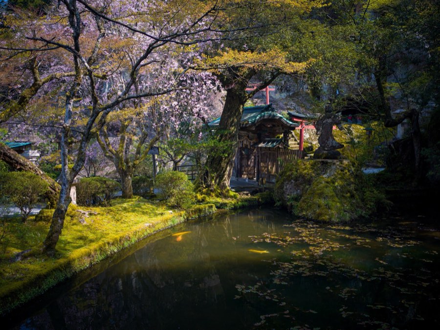 Ishikawa, Spring 2020, Japan. Photograph by Jordy Meow, 4/25