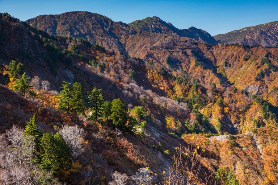 Ishikawa, Autumn 2017, Japan. Photograph by Jordy Meow, 133/302