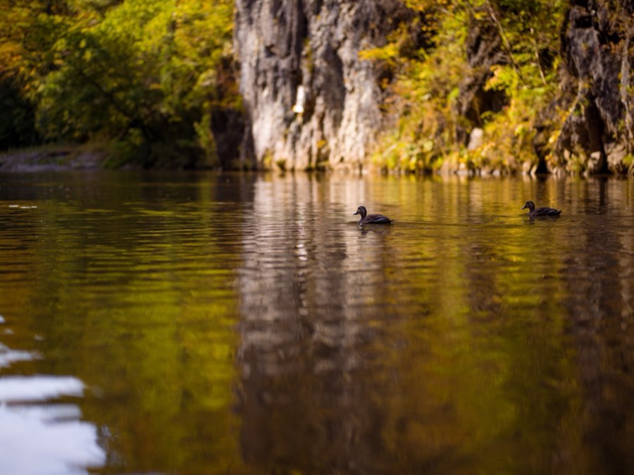Iwate, Autumn 2020, Japan. Photograph by Jordy Meow, 49/302