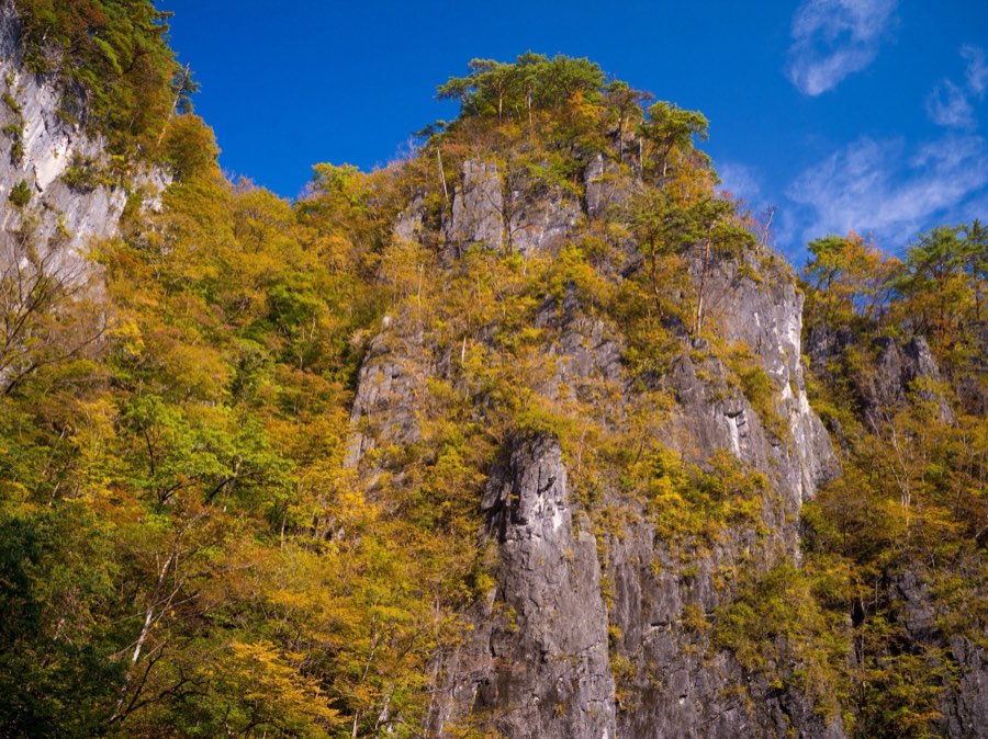Iwate, Autumn 2020, Japan. Photograph by Jordy Meow, 50/302