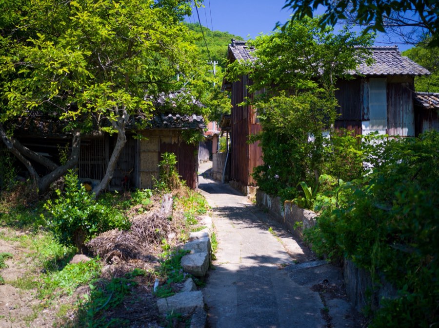 Kagawa, Spring 2020, Japan. Photograph by Jordy Meow, 4/25