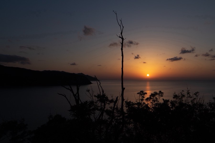 Kagoshima, Spring 2018, Japan. Photograph by Jordy Meow, 12/18