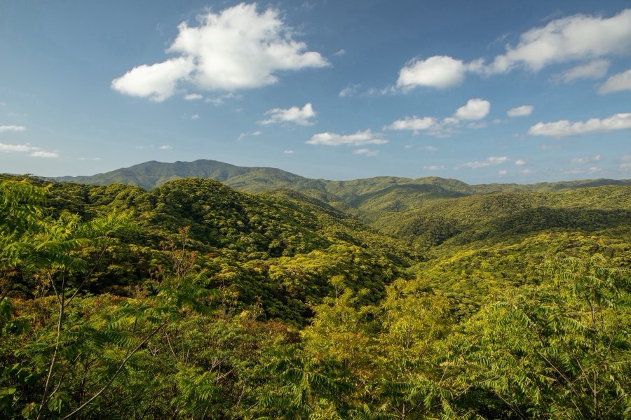Kagoshima, Spring 2018, Japan. Photograph by Jordy Meow, 13/18