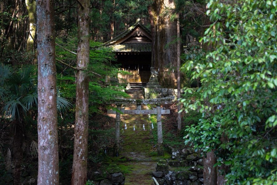 Kochi, Spring 2019, Japan. Photograph by Jordy Meow, 5/8