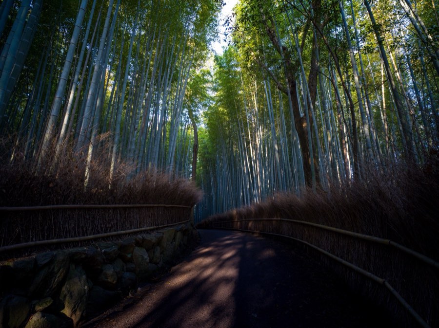 Kyoto, Spring 2020, Japan. Photograph by Jordy Meow, 3/28