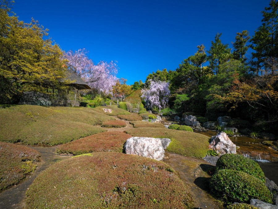 Kyoto, Spring 2020, Japan. Photograph by Jordy Meow, 6/28