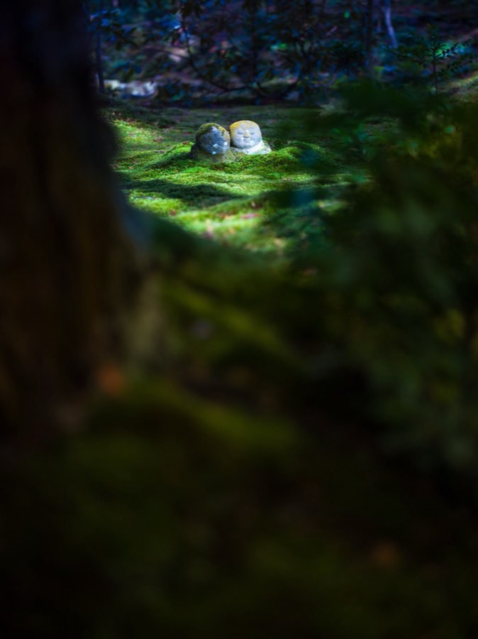 Kyoto, Autumn 2019, Japan. Photograph by Jordy Meow, 11/28