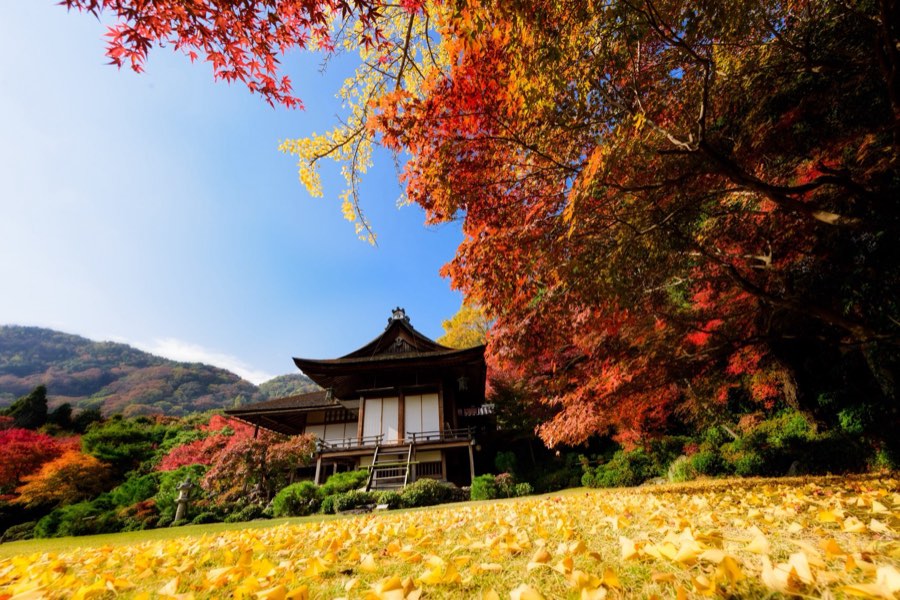 Kyoto, Autumn 2014, Japan. Photograph by Jordy Meow, 18/28