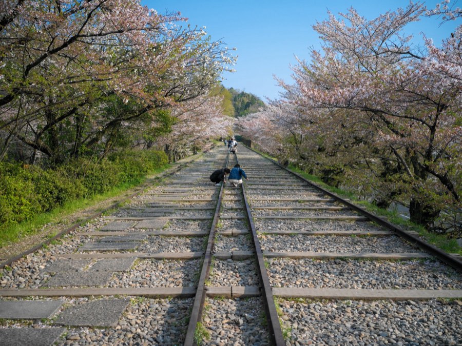 Kyoto, Spring 2020, Japan. Photograph by Jordy Meow, 23/28