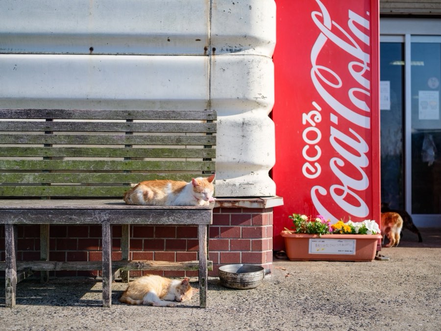 Nagasaki, Spring 2022, Japan. Photograph by Jordy Meow, 10/25