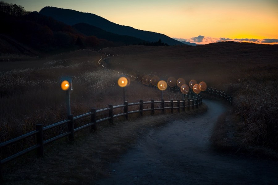 Nara, Autumn 2016, Japan. Photograph by Jordy Meow, 228/302