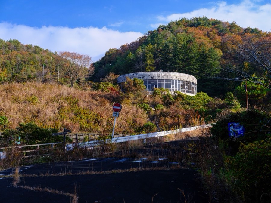 Nara, Autumn 2022, Japan. Photograph by Jordy Meow, 235/302