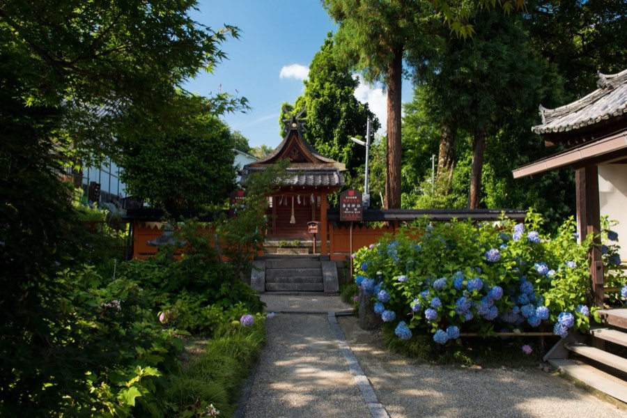 Nara, Summer 2016, Japan. Photograph by Jordy Meow, 123/229