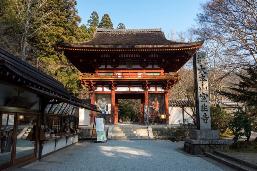 Nara, Winter 2016, Japan. Photograph by Jordy Meow, 107/116