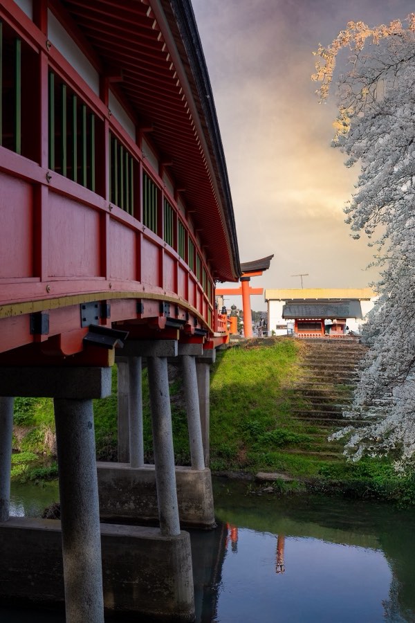 Oita, Spring 2024, Japan. Photograph by Jordy Meow, 2/11